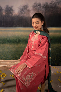 ZIVA